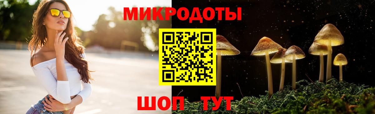Галлюциногенные грибы Psilocybine cubensis  Вход с VPN  Гагарин  Галлюциногенные грибы Psilocybe 